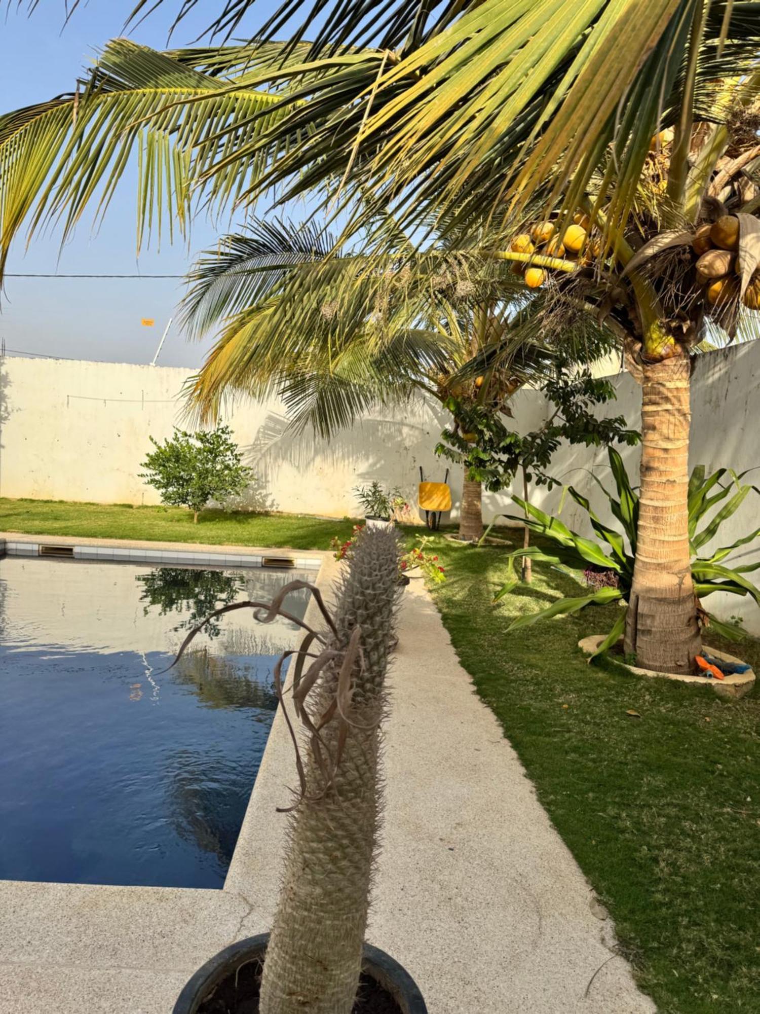La Baraka, Extravagant Villa For 8 With Pool In Saly Gandigal ภายนอก รูปภาพ